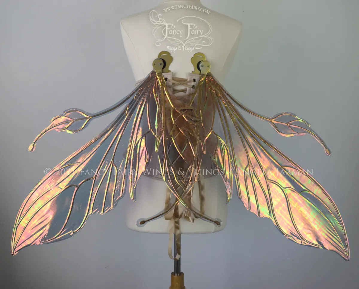 Extra Large Elvina / Datura Iridescent Convertible Fairy Wings in Autumn Night with Gold veins