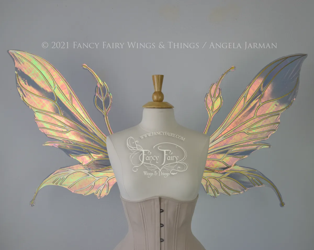 Extra Large Elvina / Datura Iridescent Convertible Fairy Wings in Autumn Night with Gold veins