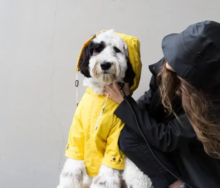 MAXBONE - Talon Raincoat for Dogs