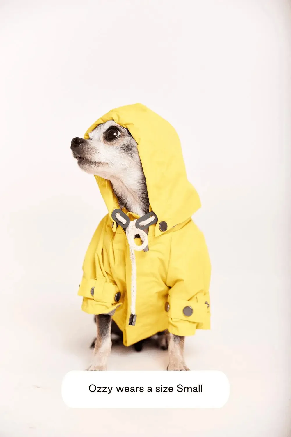 MAXBONE - Talon Raincoat for Dogs