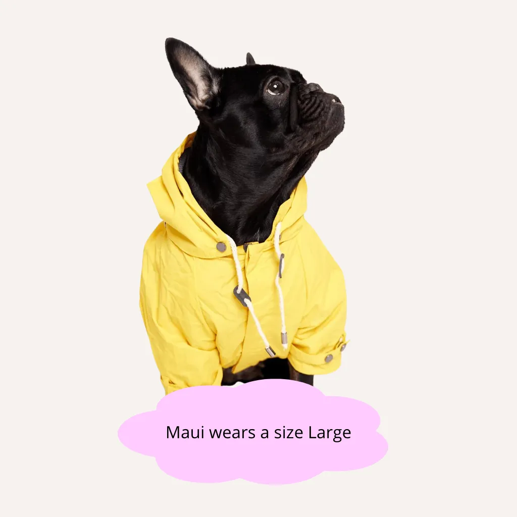 Talon Dog Raincoat