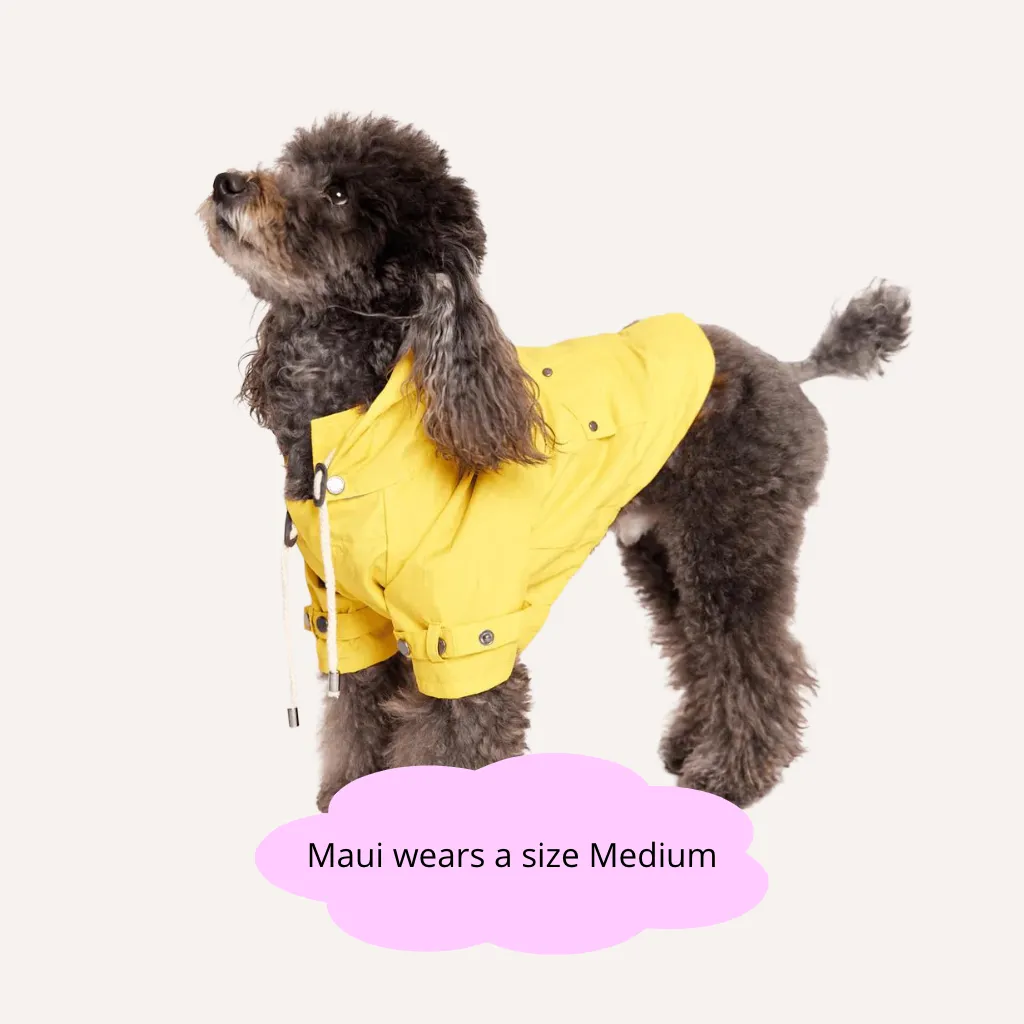 Talon Dog Raincoat