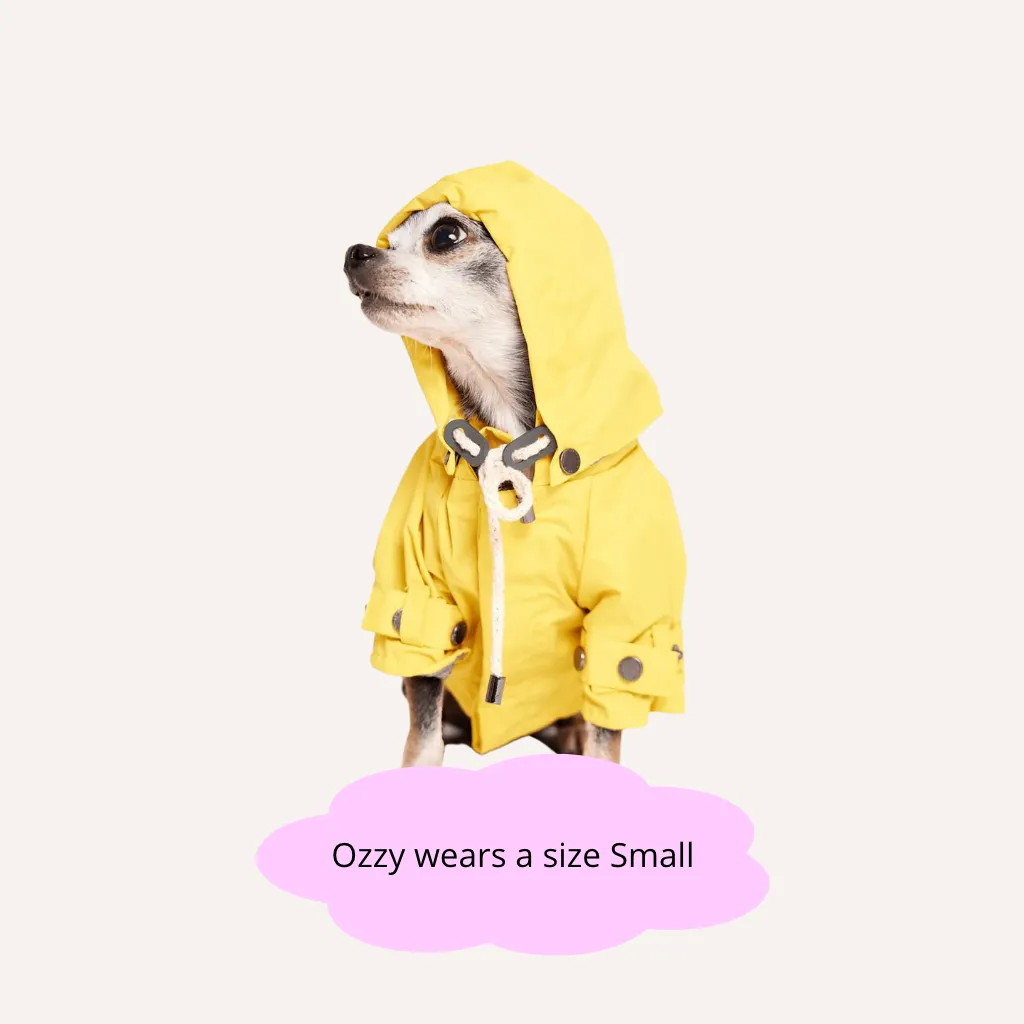 Talon Dog Raincoat